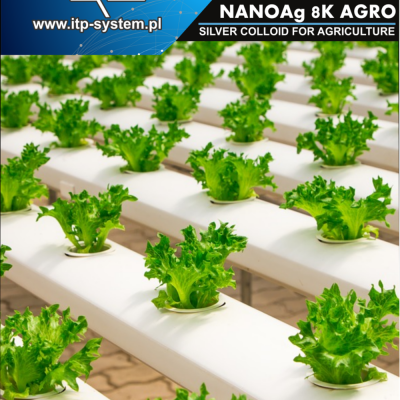 Nano Silver and Peroxide for Agriculture